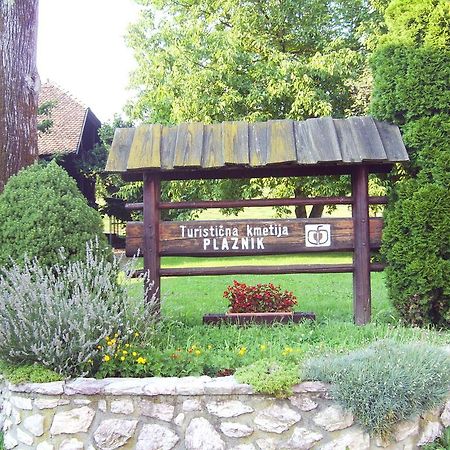 Guest House Turisticna Kmetija Plaznik Ljubno Zewnętrze zdjęcie