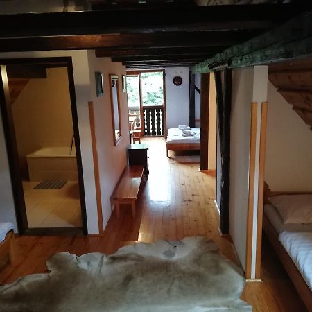 Guest House Turisticna Kmetija Plaznik Ljubno Zewnętrze zdjęcie