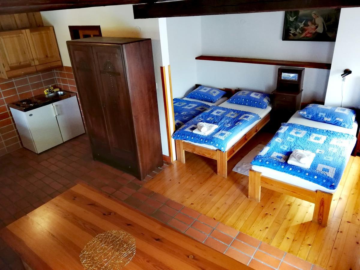 Guest House Turisticna Kmetija Plaznik Ljubno Zewnętrze zdjęcie