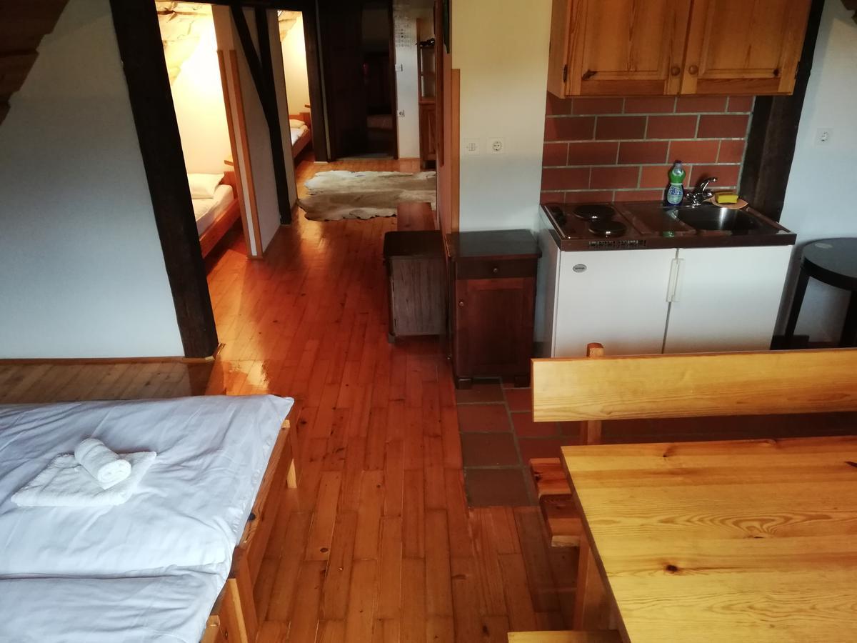 Guest House Turisticna Kmetija Plaznik Ljubno Zewnętrze zdjęcie