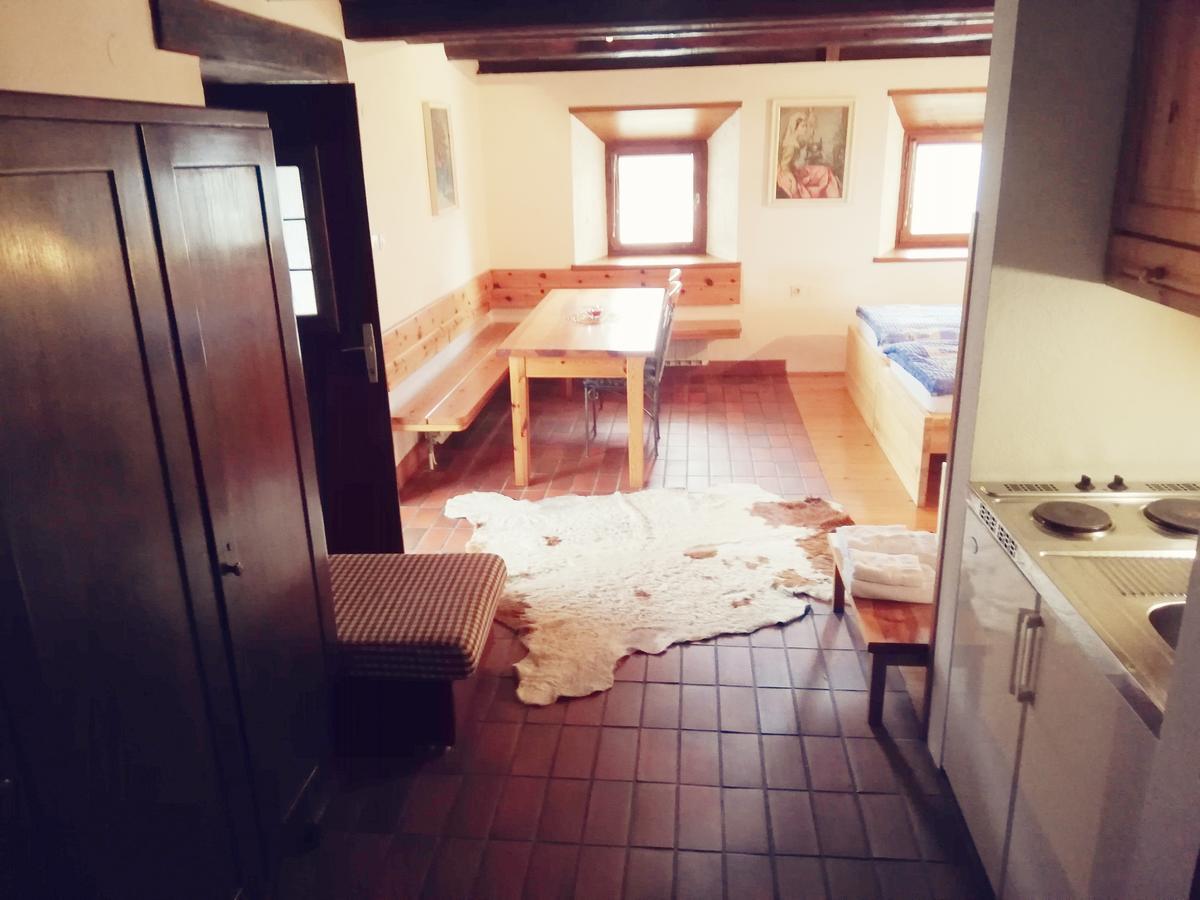Guest House Turisticna Kmetija Plaznik Ljubno Zewnętrze zdjęcie