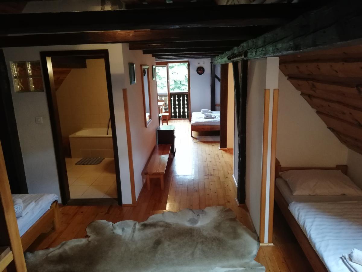 Guest House Turisticna Kmetija Plaznik Ljubno Zewnętrze zdjęcie