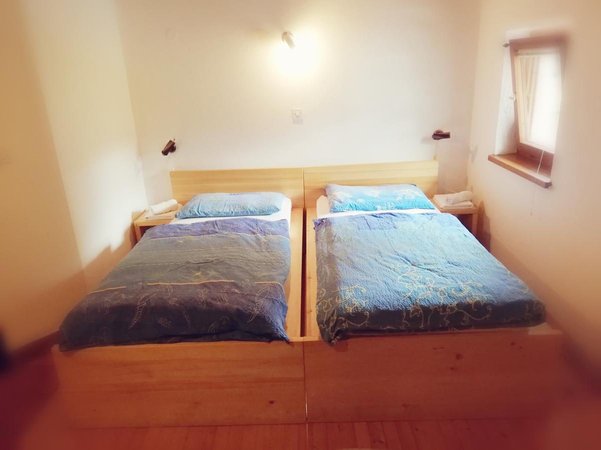 Guest House Turisticna Kmetija Plaznik Ljubno Zewnętrze zdjęcie