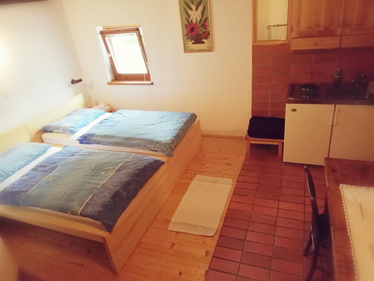 Guest House Turisticna Kmetija Plaznik Ljubno Zewnętrze zdjęcie